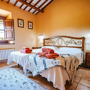 Mas Dels Avis Tipica Masia Catalana Villa